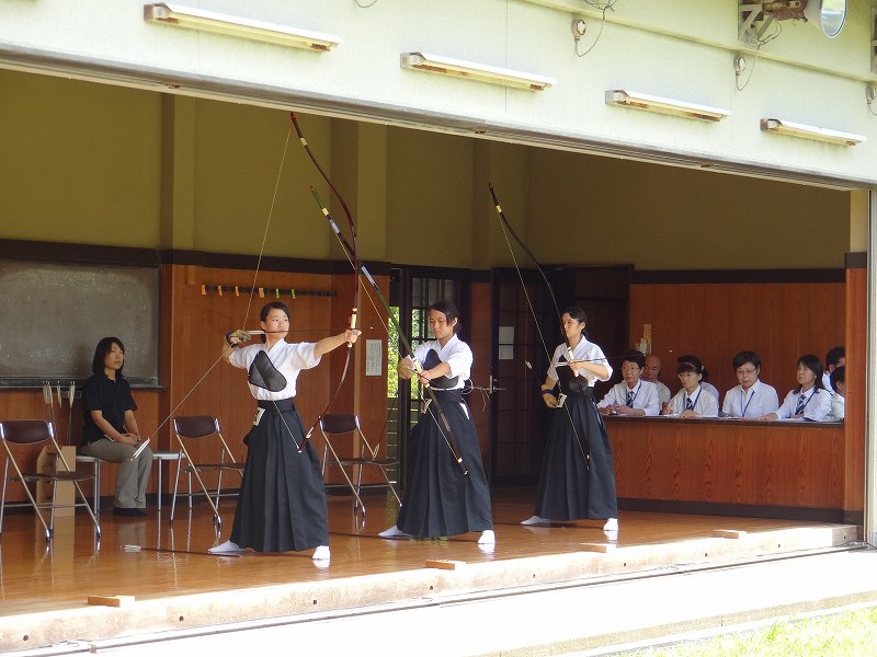 DSC02095.jpg