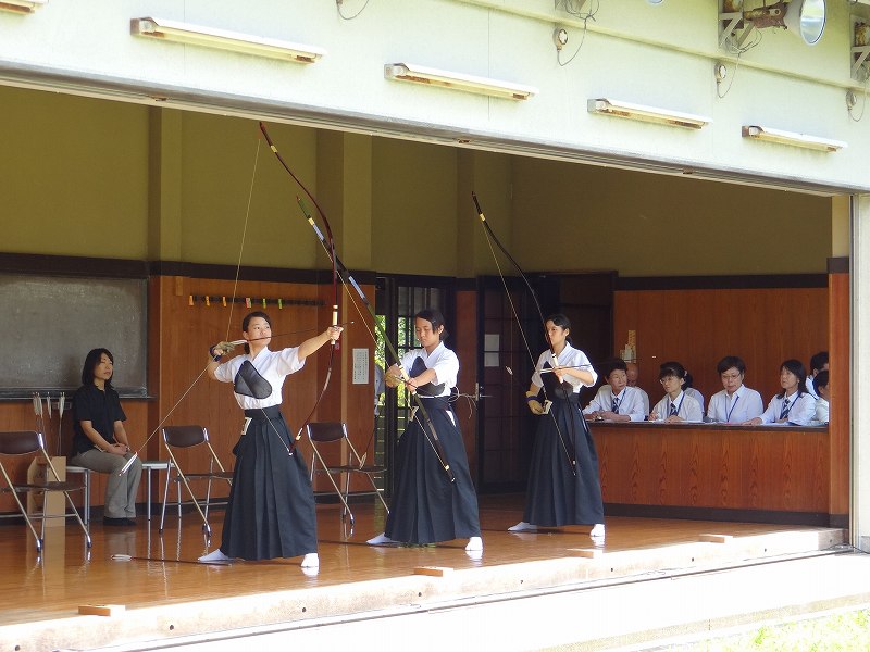 DSC02096.jpg