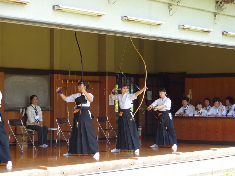 DSC02110.jpg
