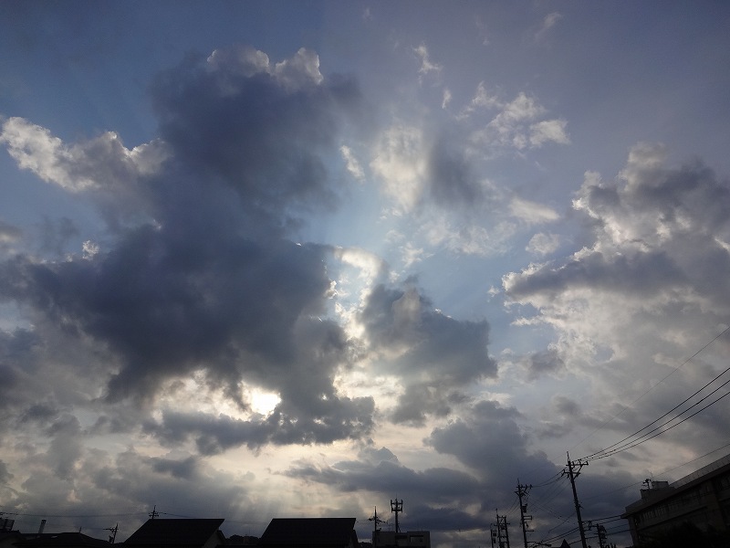 DSC02199.jpg