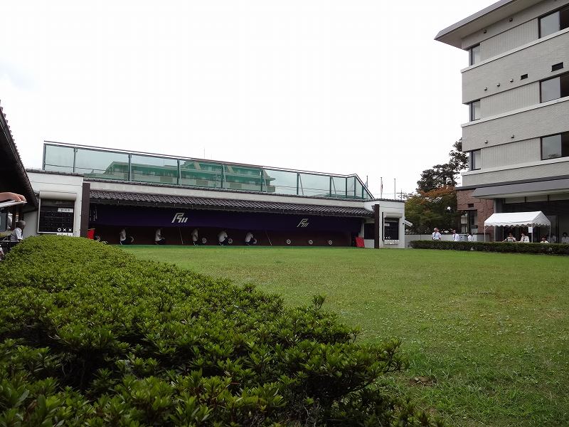 DSC02312.jpg