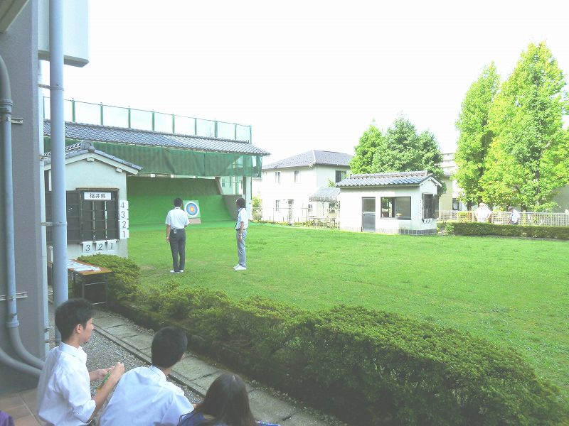 P1000211.jpg