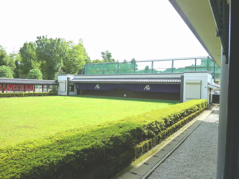 P1000217.jpg