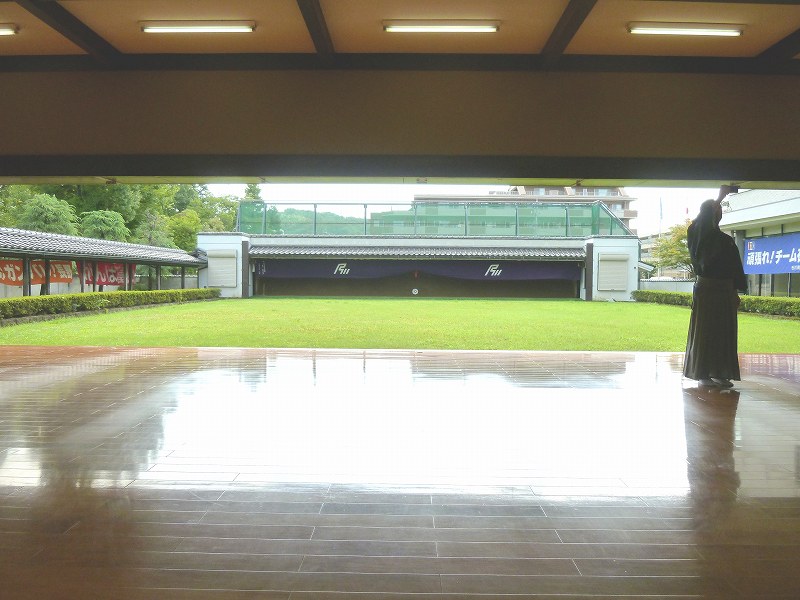 P1000218.jpg