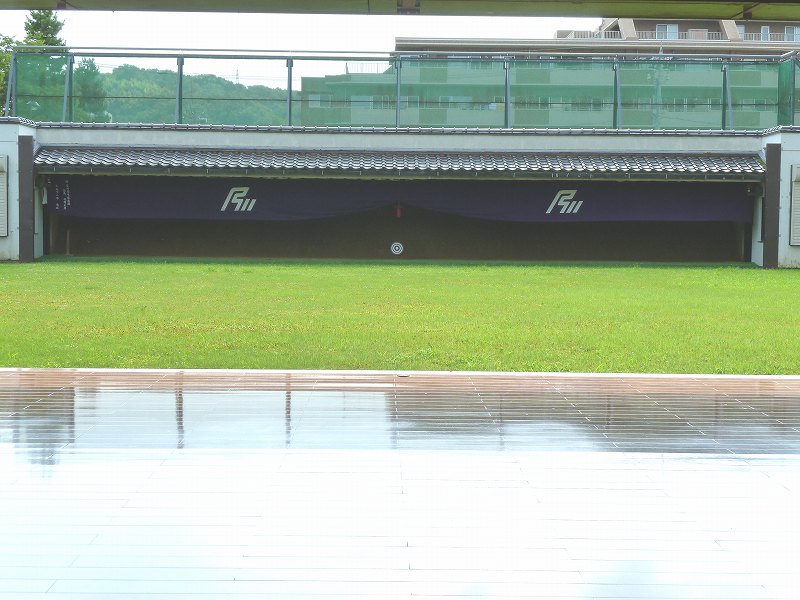 P1000219.jpg