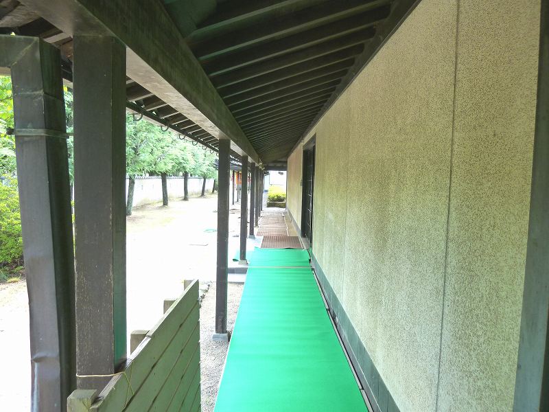 P1000233.jpg