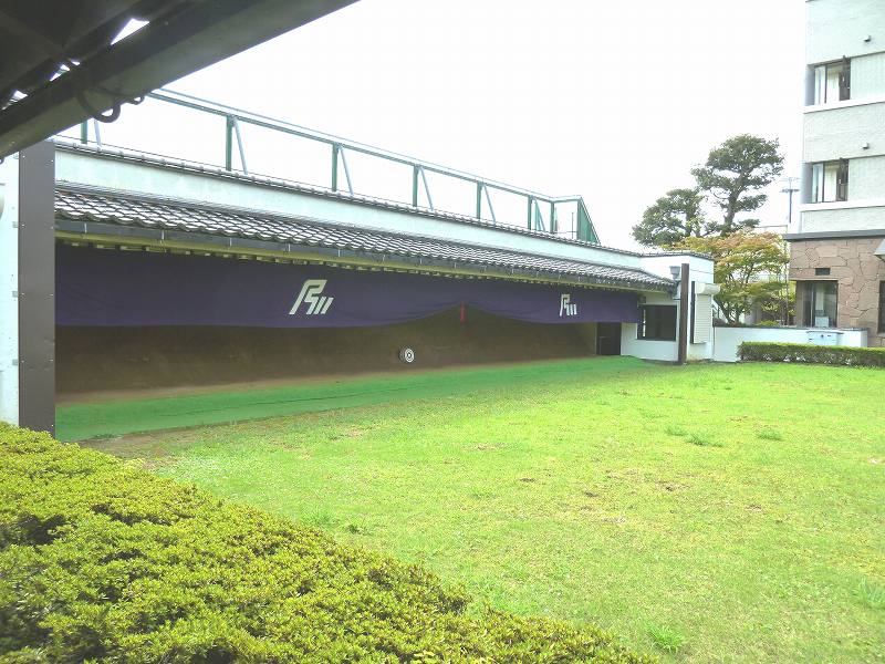 P1000288.jpg