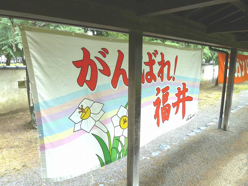 P1000291.jpg