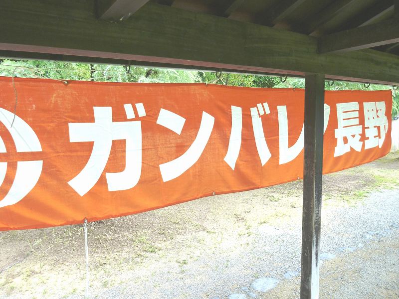 P1000292.jpg