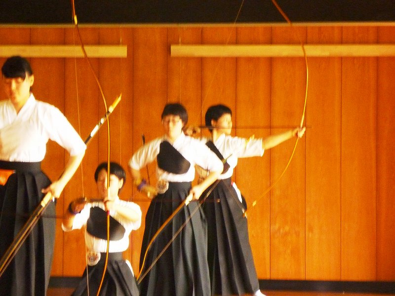 P1000642.jpg